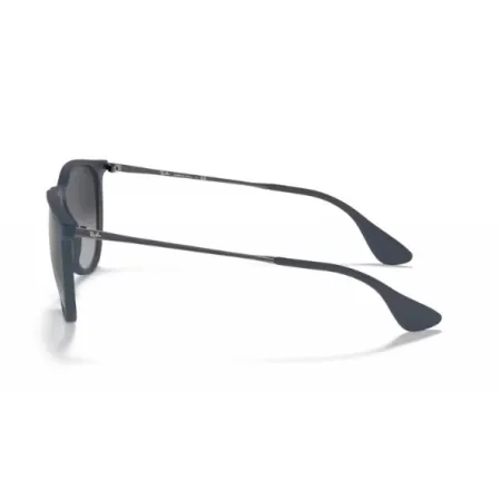 Ray-Ban RB4171  60028G - Erika